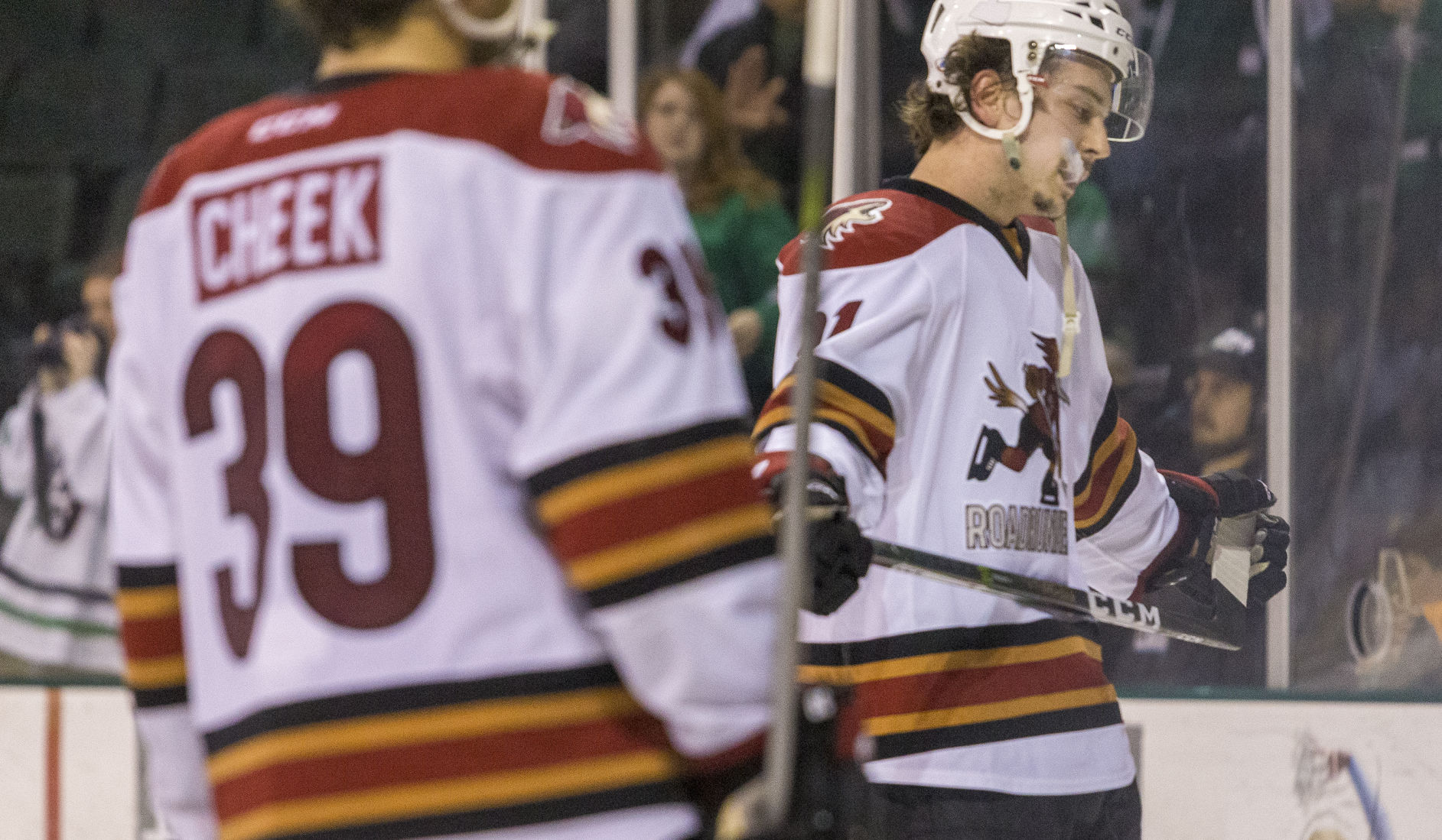 Roadrunners-Stars, Game 4